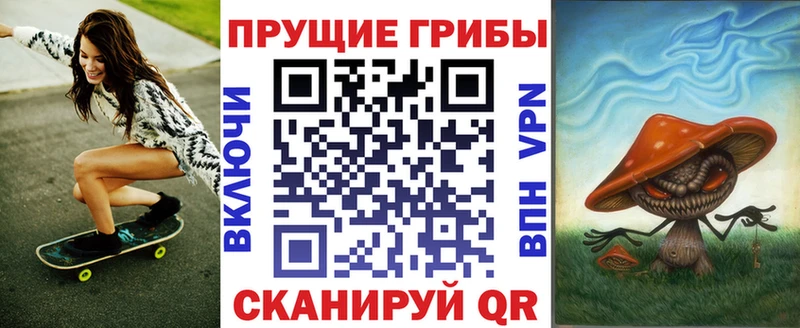 купить закладку Новозыбков Галлюциногенные грибы GOLDEN TEACHER