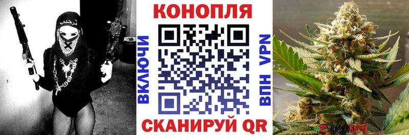 Конопля индика  Новозыбков 